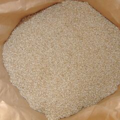 【新米１】玄米　３０ｋｇ　新米（２０２３年収穫）売ります。