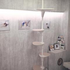 OPPO キャットフォレスト ホワイト キャットタワー