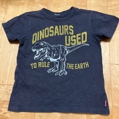 130 Tシャツ　小さめ130 恐竜