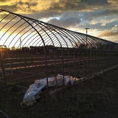 ハウス　骨組み　倉庫代わりにどうですか