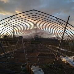 ハウス 骨組み 倉庫代わりにどうですか