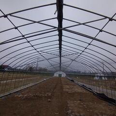 ハウス 骨組み 倉庫代わりにどうですか