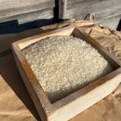 「完売」お米 令和4年度 にこまる 掛川産 30kg