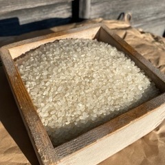 お米 令和4年度 にこまる 掛川産 60kg（1俵）