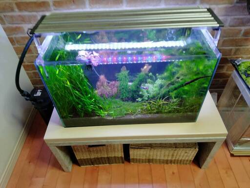 60ｃｍ水槽台　800ｘ450ｘ360ｈ　中古