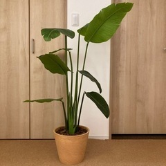 フェイクグリーン　130cm 観葉植物