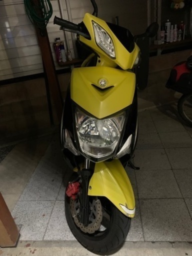 売れました