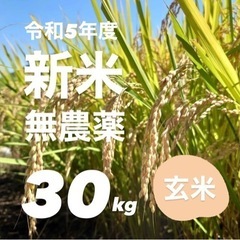令和5年新米 広島県産  無農薬  ヒノヒカリ 玄米 30kg