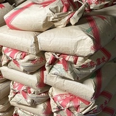B 令和五年産　ヒノヒカリ　玄米　減農薬栽培米
