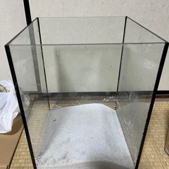 海水魚飼育セット