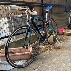 朝霧JAM\'19  2日通しチケット 1枚！！-trek トレック　ロードバイク　ギア付き　無音の警告　でんぱ組.inc