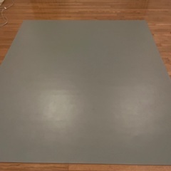 バレエ練習用バー、リノリウム床