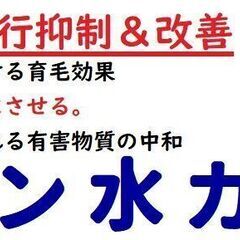 白髪染めをするだけで白髪の進行抑制＆改善！！もう白髪は染めるだけ...