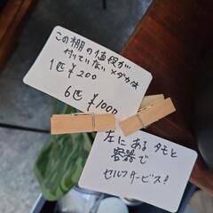 10/22　横須賀メダカ無人販売