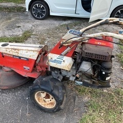 牧草モア🌱🌱