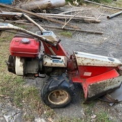 牧草モア🌱🌱