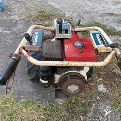 牧草モア🌱🌱