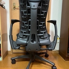 HermanMiller Embody Chairs