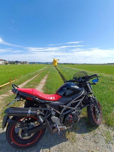 sv650 2022年モデル 走行8000キロ弱 【公式通販】