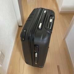 10/23まで出品【2回のみ使用】スーツケース　63L 3～7泊
