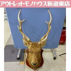 鹿の剥製 オブジェ 壁掛け ハンティングトロフィー コレクション...