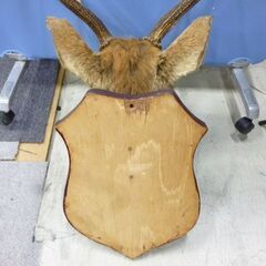 鹿の剥製 オブジェ 壁掛け ハンティングトロフィー コレクション 鹿