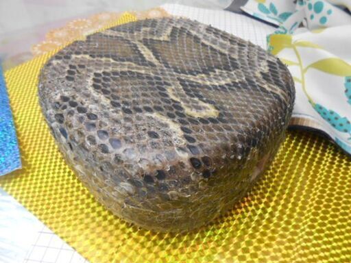 A7現品販売 15.980円 蛇皮強化(二重張)型チーガ(三線胴) 貴方