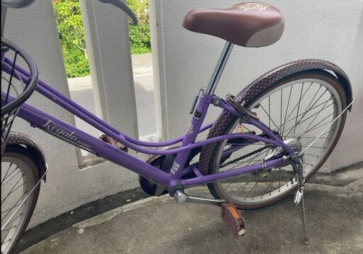 22インチ　子供用自転車（パープル、AVIGO）