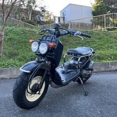 ホンダ　ズーマーです。