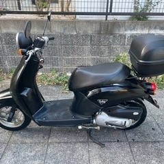 【決まりました】ホンダ トゥデイ AF61 原付バイク 🎁おまけ付き😊