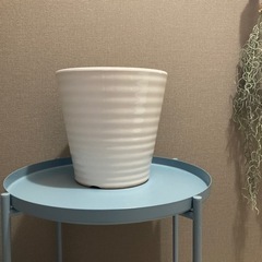 陶器の鉢　ホワイト　A
