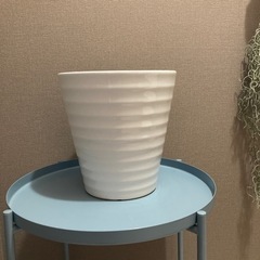 陶器の鉢　B