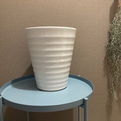 陶器の鉢　ホワイトC
