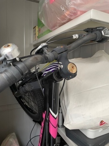 TREKトレック子供用自転車20インチピンク