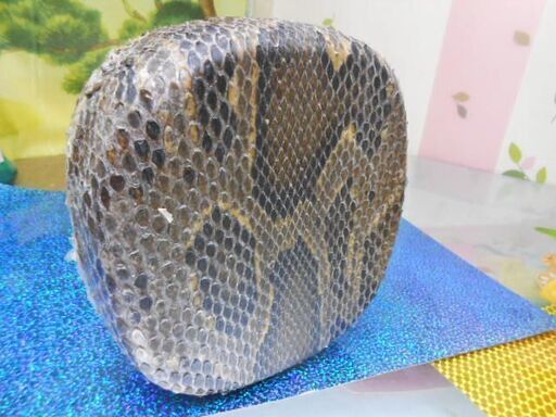 A6現品販売(送料無料)11.000円 蛇皮強化(二重張)型チーガ(三線胴