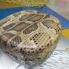 P5現品販売(送料無料)21.000円　胴巻き付蛇皮強化チーガ、三線台、調弦器 P5現品販売(送料無料)21.000円 胴巻き付蛇皮強化チーガ、三線台、調