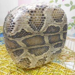 A6現品販売(送料無料)11.000円 蛇皮強化(二重張)型チーガ(三線