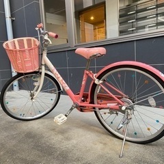 子供用自転車　ブリヂストン　エコパル　22インチ