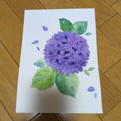 水彩画　紫陽花　A4