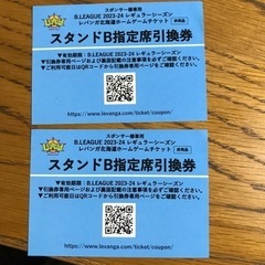 【ネット決済】レバンガ　チケット　スタンドB指定席　2枚
