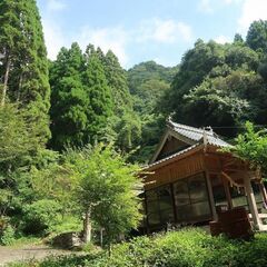 7反ある湧水の湧いている諏訪神社近くの山林 ： 由布市庄内...