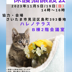 11/５（日）♡ハレノテラス保護猫譲渡会♡さいたま市