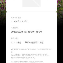 チームラボ豊洲2023,10/29 15:00-15:30入場チ...