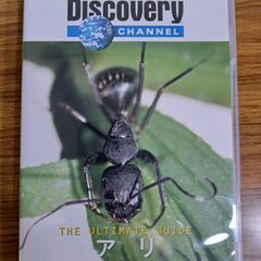 DiscoveryCHANNEL　アリ　DVD video