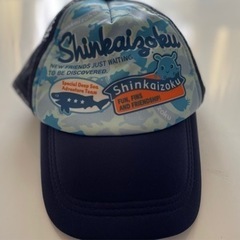 （取引完了）シンカイゾクの帽子　無料です！