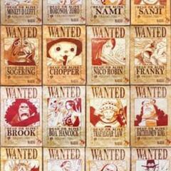 ワンピース 手配書ポスター OP展2012 全15種セット+BOX購入特典 ONEPIECE ワンピース 手配書ポスター OP展2012 全15種セット+BOX購入特典