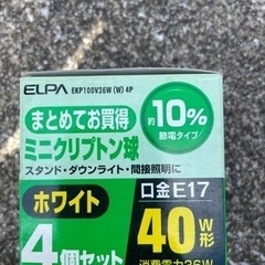 ELPA ミニクリプトン球　EKP100v（w）40w形　3個