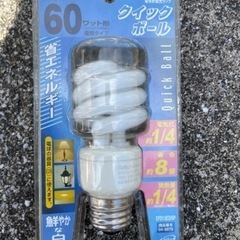 OHM 電球型蛍光ランプ　E26