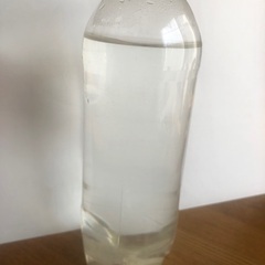 ゾウリムシ500ml