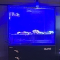 レッドシーの中古が安い!激安で譲ります・無料であげます|ジモティー